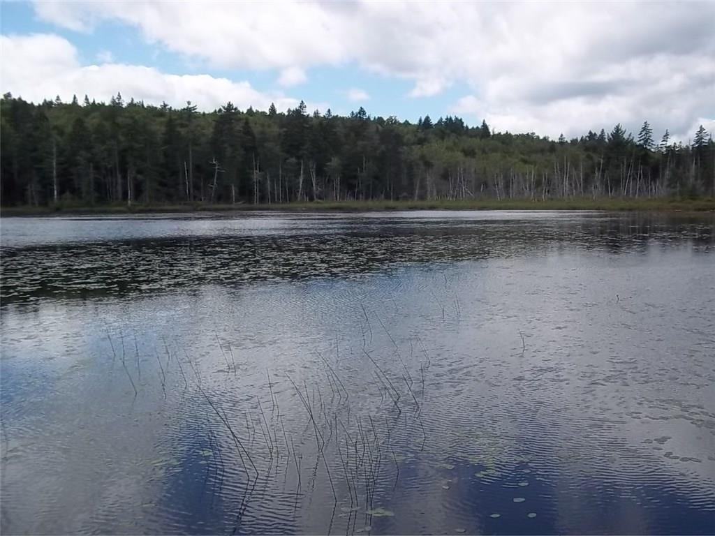 0 Penknife Road Robbinston, ME 04671 - Photo 2 of 3 Photo