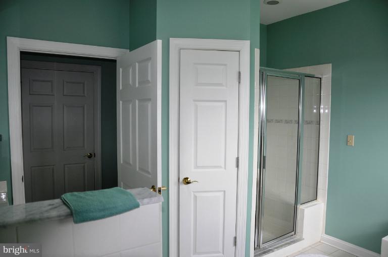 5123 Brooks Road Woolford, MD 21677 - Photo 24 of 30 Master Bath Shower