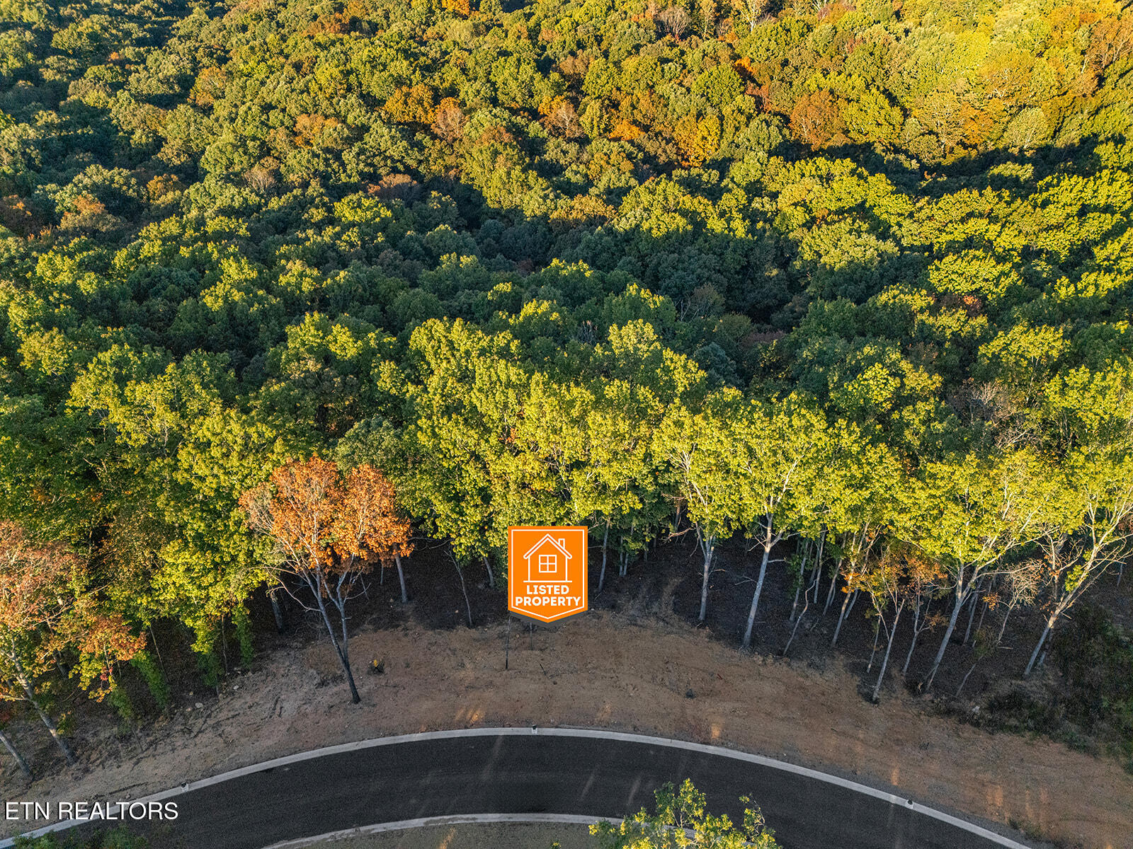 227 Flip Flop Way Loudon, TN 37774 - Photo 16 of 27 DJI_20251016204706_0784_D-icon