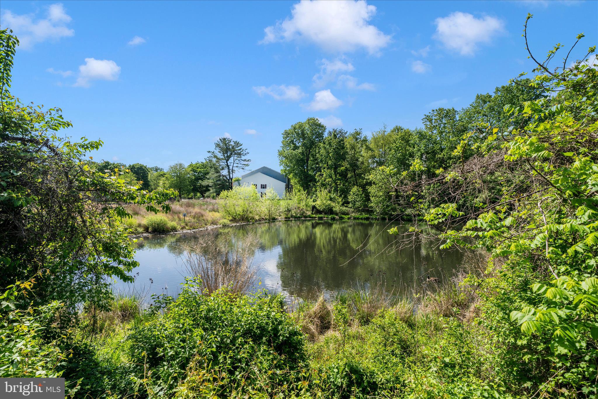 3749 Castle Terrace, Unit 12114 Silver Spring, MD 20904 - Photo 40 of 51 a view of a lake with a house in the background