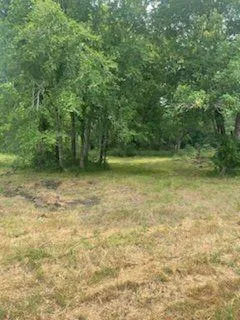 a view of outdoor space and yard