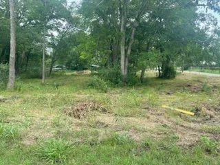 a view of a lush green space