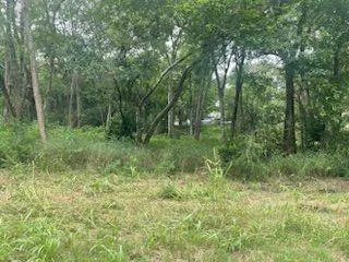 a big yard with lots of green space and deers