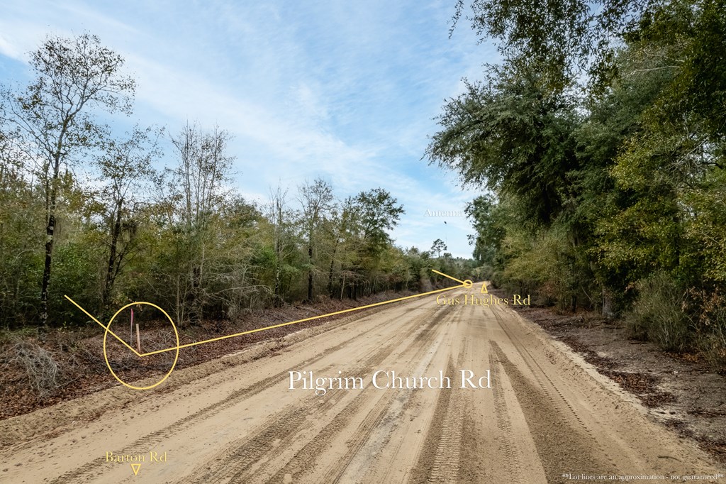 2 Pilgram Ch Road Gordon, AL 36343 - Photo 14 of 17