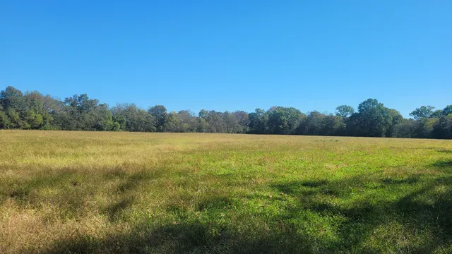 a view of a field with an ocean view