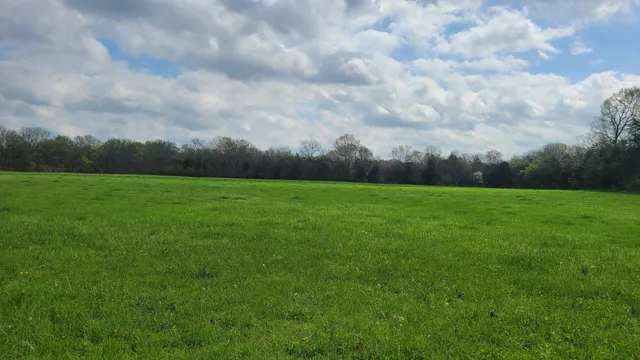 a view of a field with an ocean