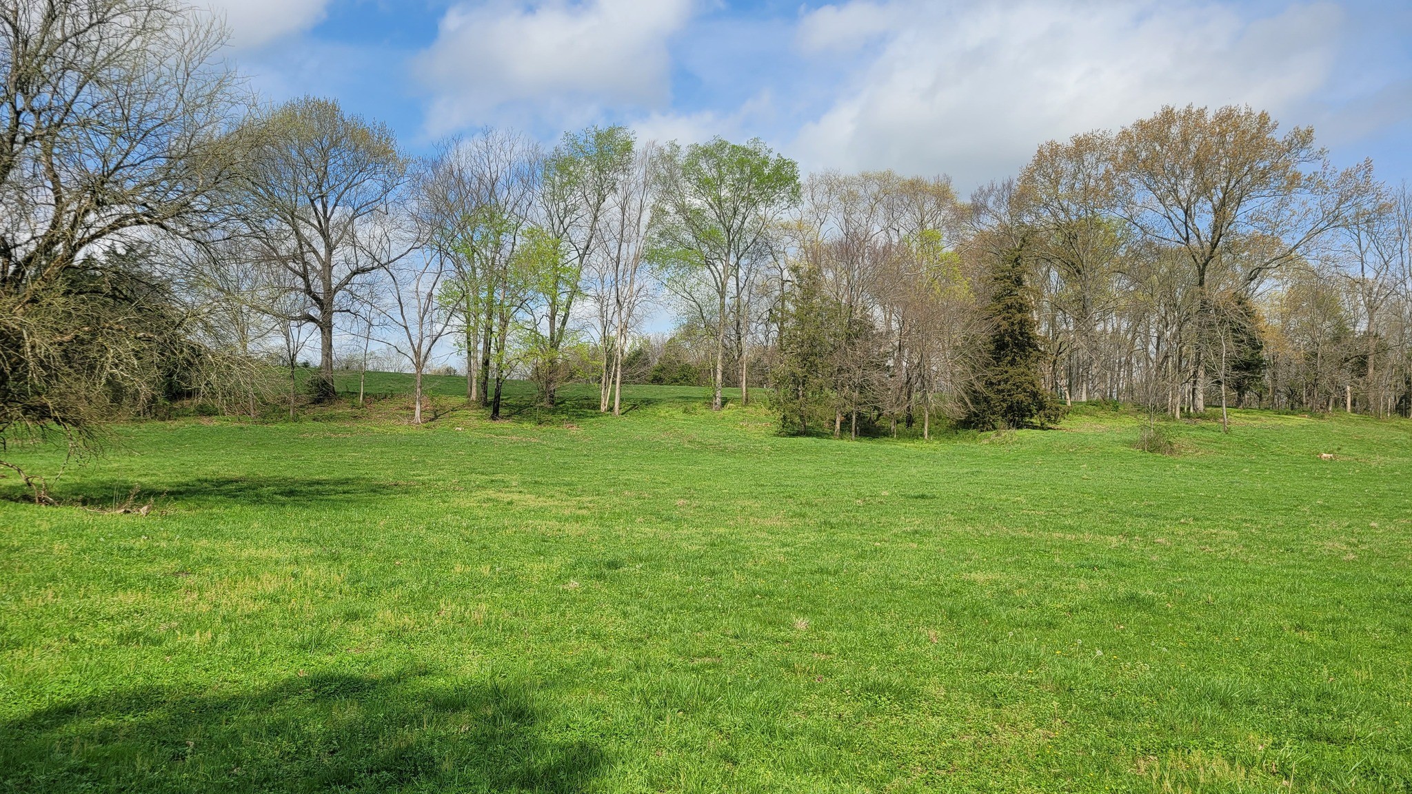 6 Pass Road Shelbyville, TN 37160 - Photo 2 of 12 a view of a grassy field with trees