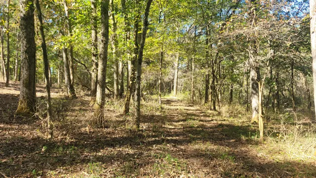 a view of grassy field with trees in the background