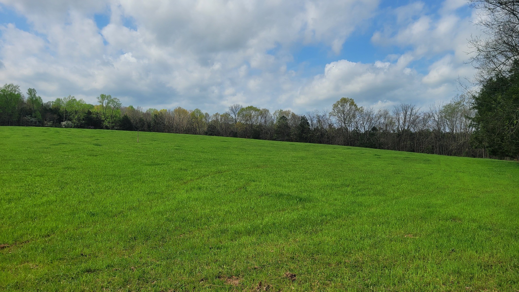6 Pass Road Shelbyville, TN 37160 - Photo 5 of 12 a view of grassy field with trees in the background