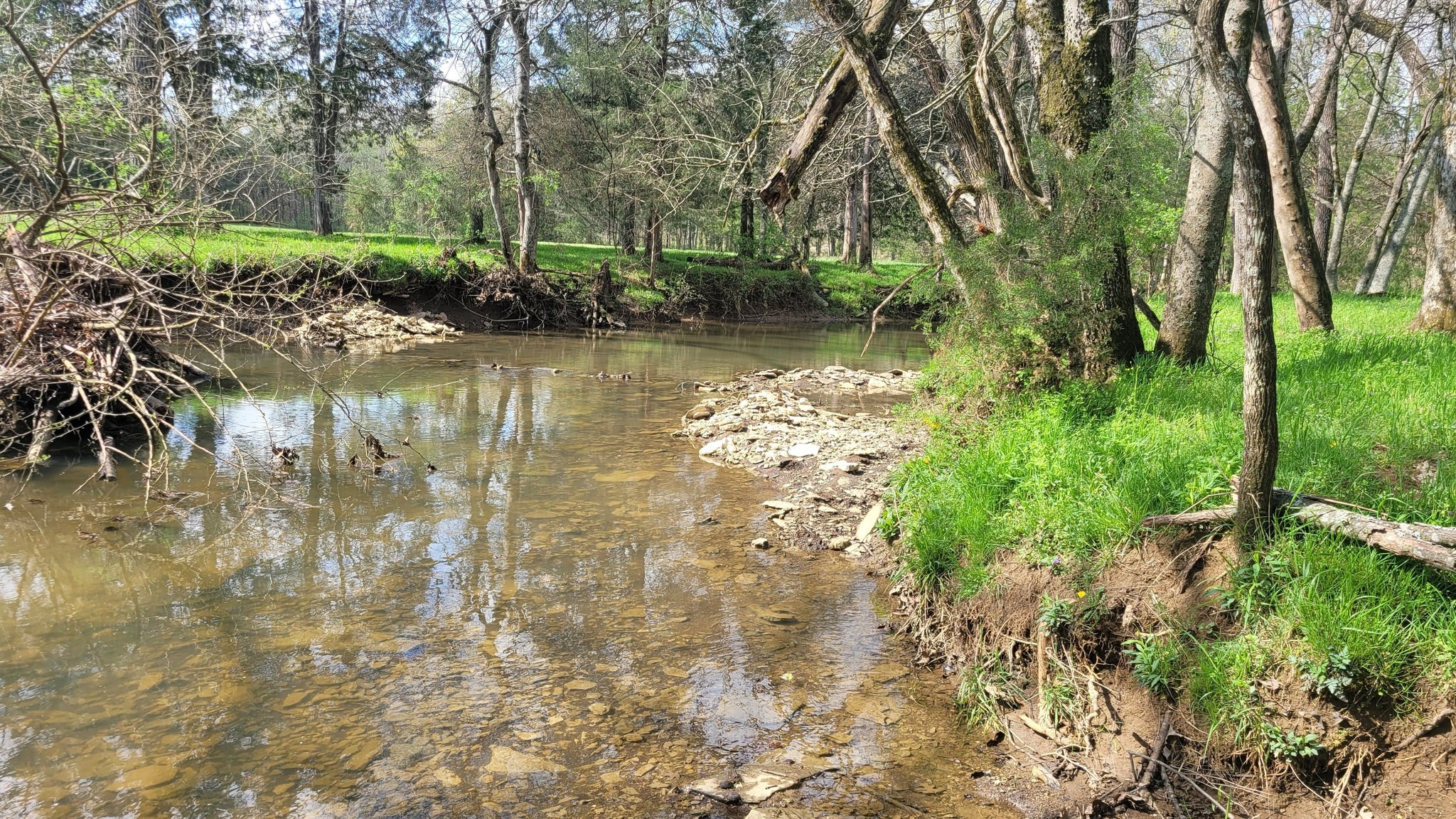 6 Pass Road Shelbyville, TN 37160 - Photo 6 of 12 a view of lake with green space