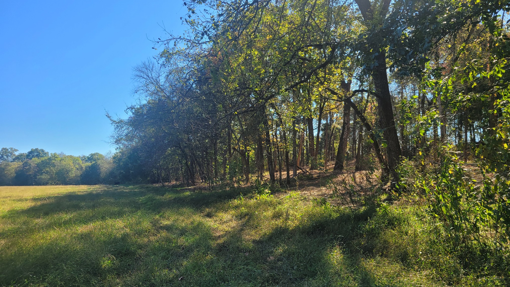 6 Pass Road Shelbyville, TN 37160 - Photo 7 of 12 a view of outdoor space with trees all around