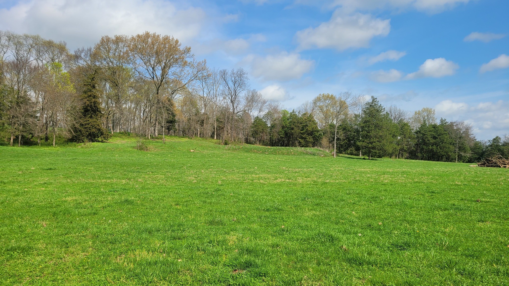 6 Pass Road Shelbyville, TN 37160 - Photo 8 of 12 a view of a grassy field with trees in the background