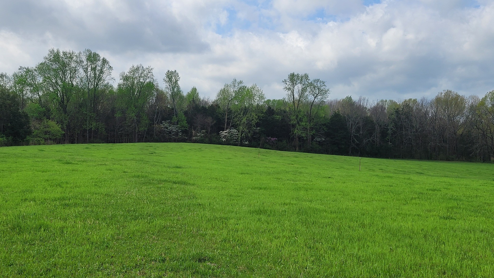 6 Pass Road Shelbyville, TN 37160 - Photo 9 of 12 a view of a grassy field