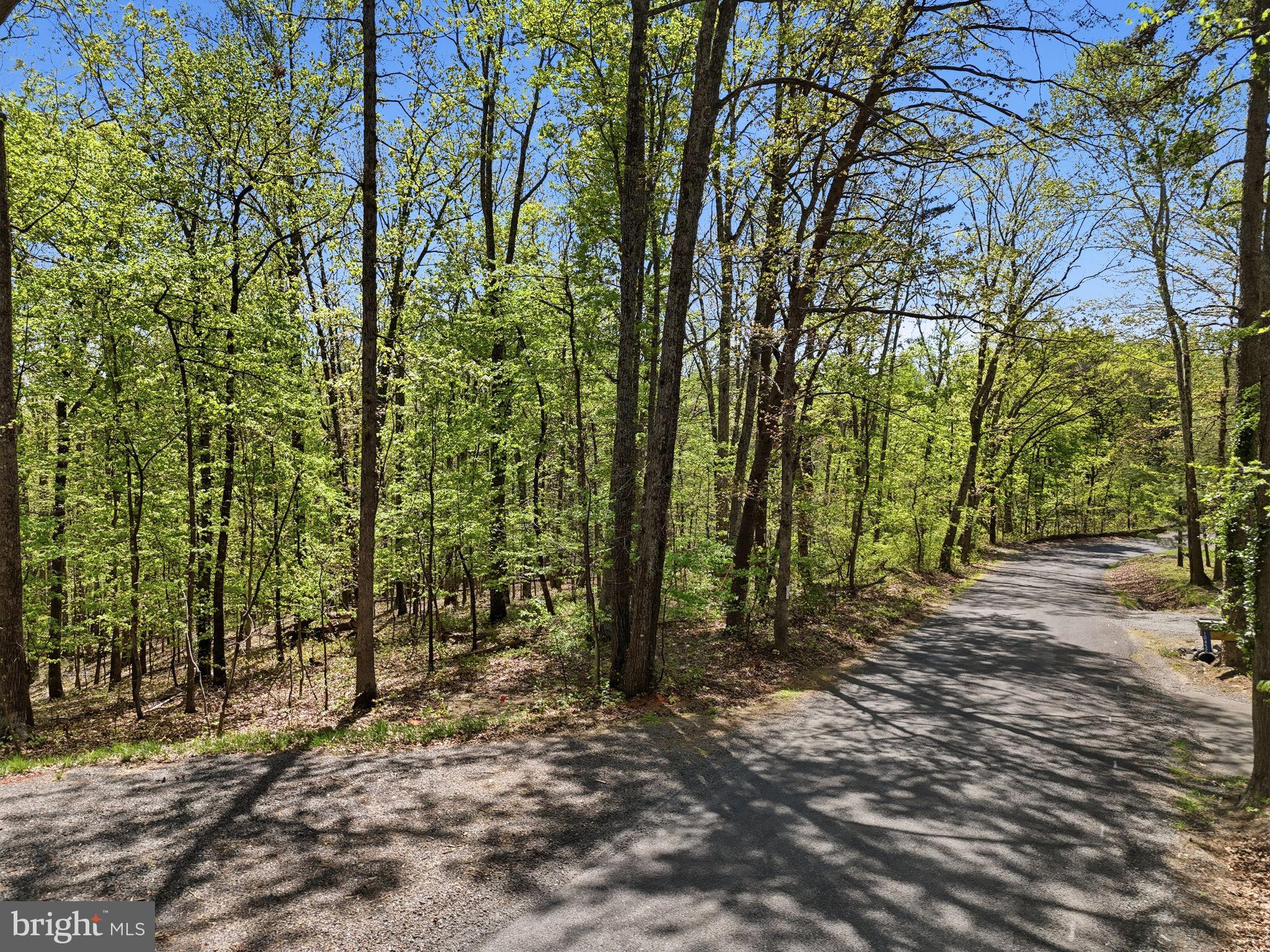 Lot 3 Obannons Mill Road Boston, VA 22713 - Photo 13 of 14