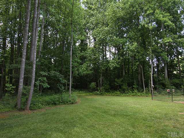 262 Ned Moore Road Timberlake, NC 27583 - Photo 11 of 12 a view of outdoor space and garden
