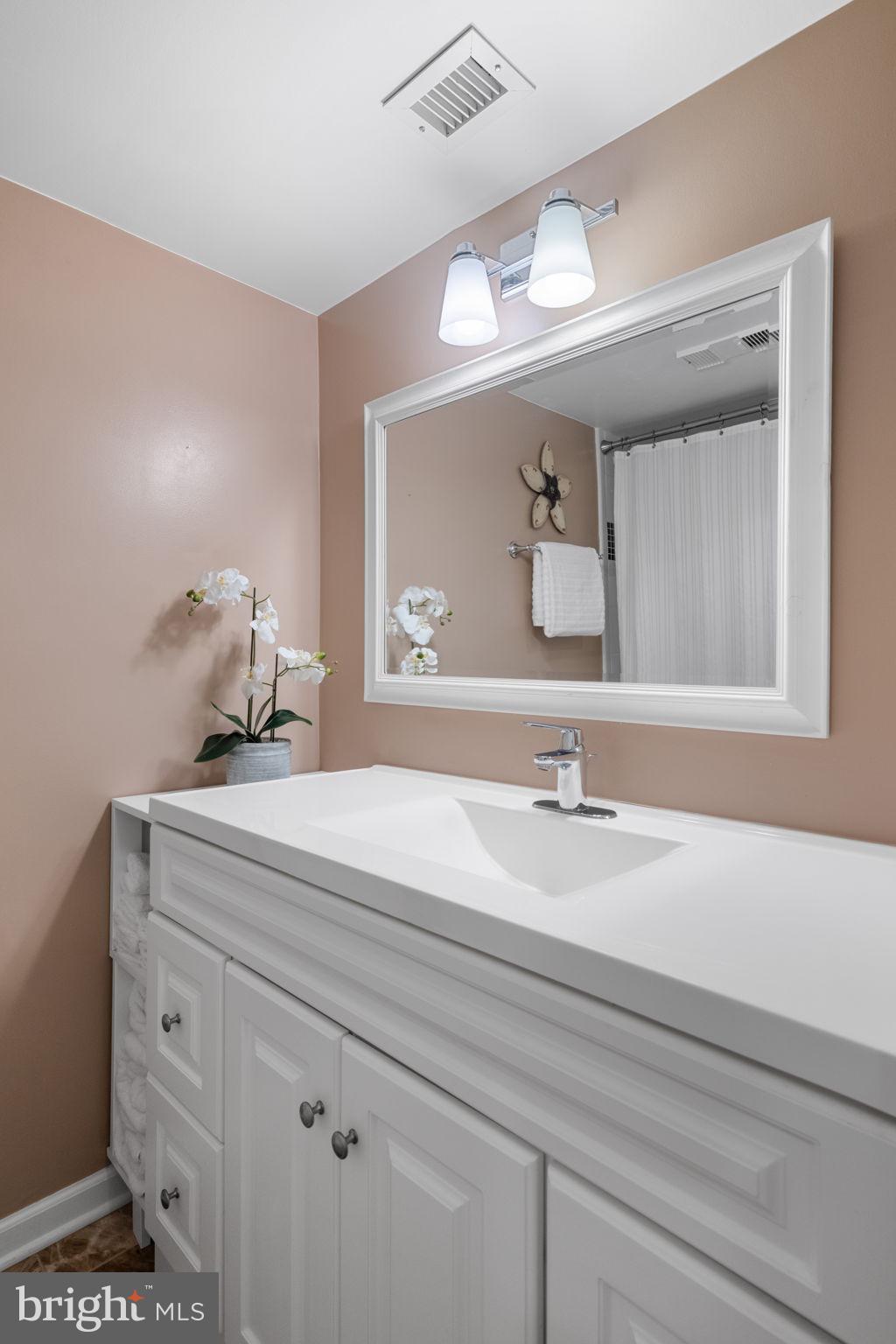 5804 Cove Landing Road, Unit 101 Burke, VA 22015 - Photo 30 of 37 Hall Bathroom