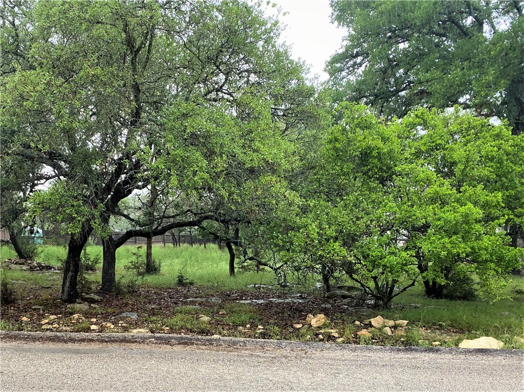 0 Flaming Cliff Road Wimberley, TX 78676 - Photo 1 of 1 Gallery Image 1
