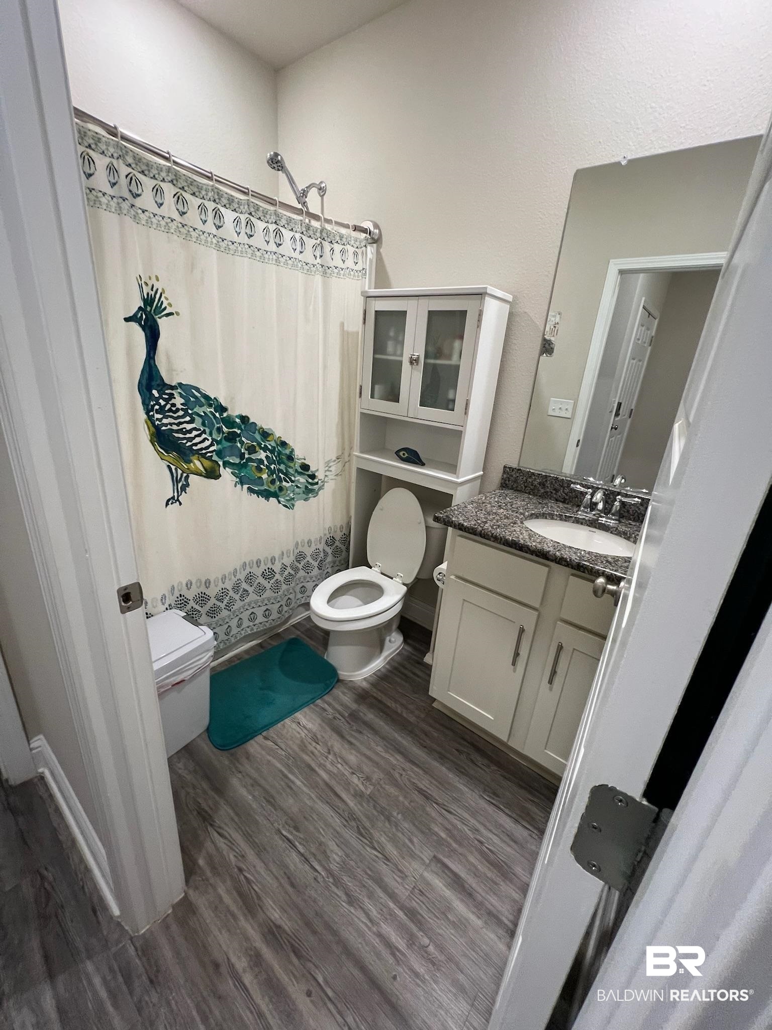 3904 Conrad Court Gulf Shores, AL 36542 - Photo 16 of 24 Bathroom with toilet, vanity, and hardwood / wood-style flooring