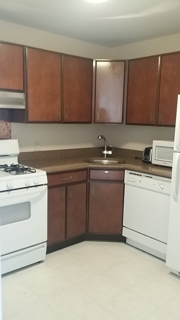 400 East Randolph Street, Unit 3404 Chicago, IL 60601 - Photo 3 of 35 a utility room with sink dryer and washer