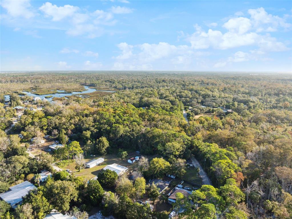 18730 Rosemary Road Aripeka, FL 34679 - Photo 33 of 35
