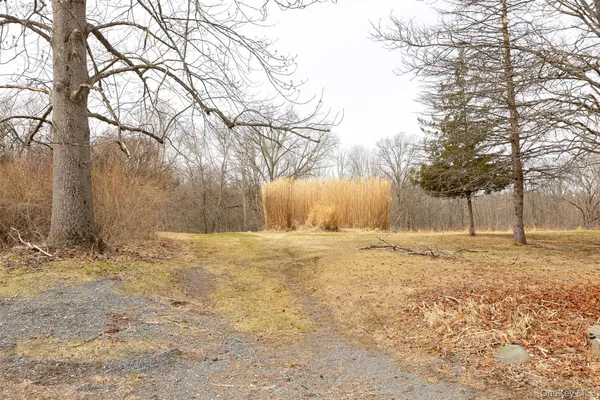 a view of a yard with snow on the road