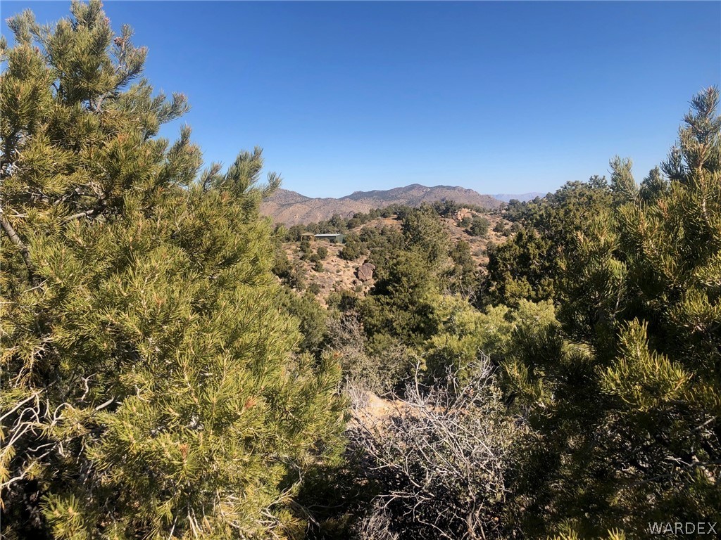 0 West Shadow Canyon Road Kingman, AZ 86409 - Photo 5 of 8 Gallery Image 5