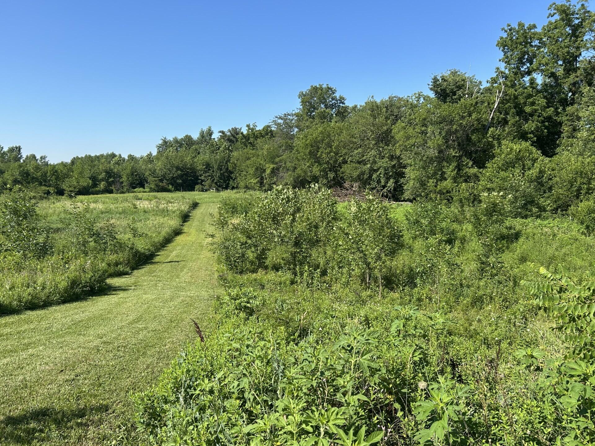 10239 Krugh Road Mendon, OH 45862 - Photo 36 of 52 4a607340-0d35-4dac-8d66-1cf13c0a404d