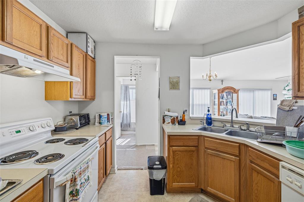 12422 Tree Pointe Court Riverview, FL 33578 - Photo 9 of 20