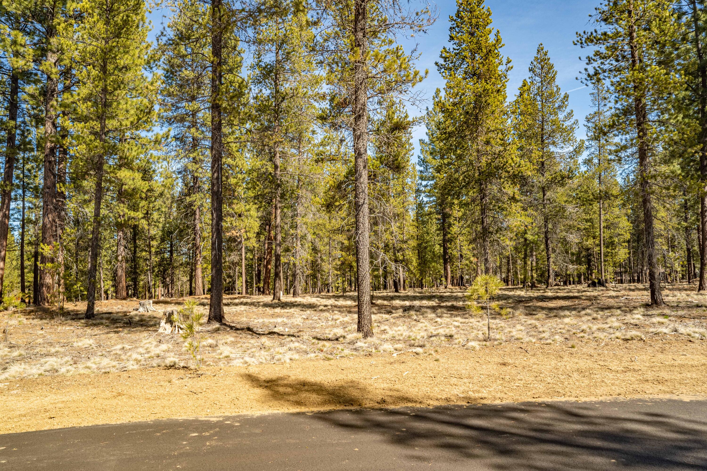 Cottontail Loop Bend, Unit 470 Bend, OR 97707 - Photo 2 of 20 DSC07596-HDR