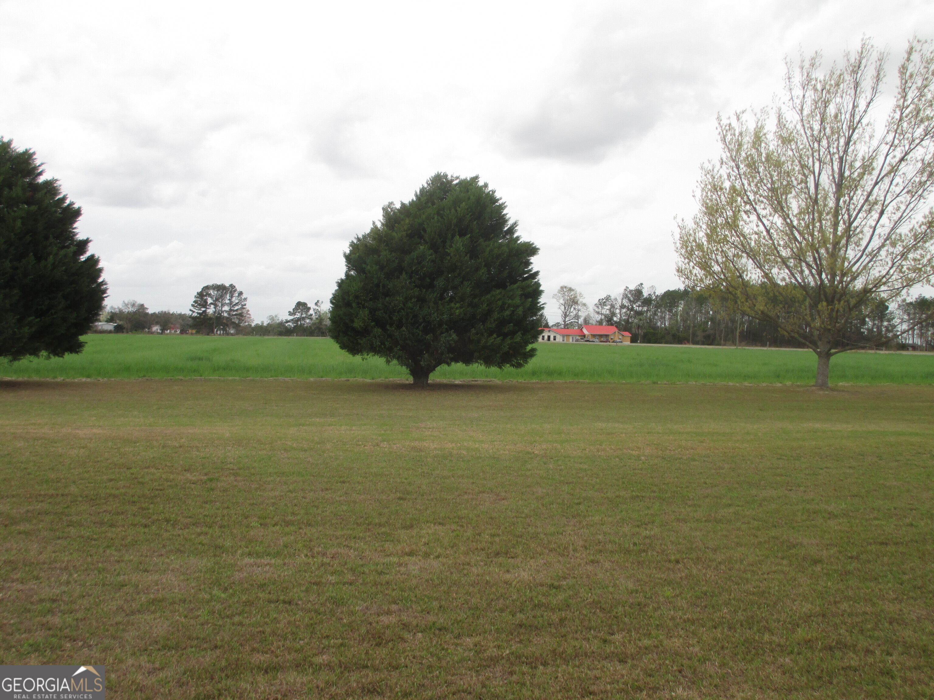 40 Comer Yawn Road Hazlehurst, GA 31539 - Photo 11 of 54