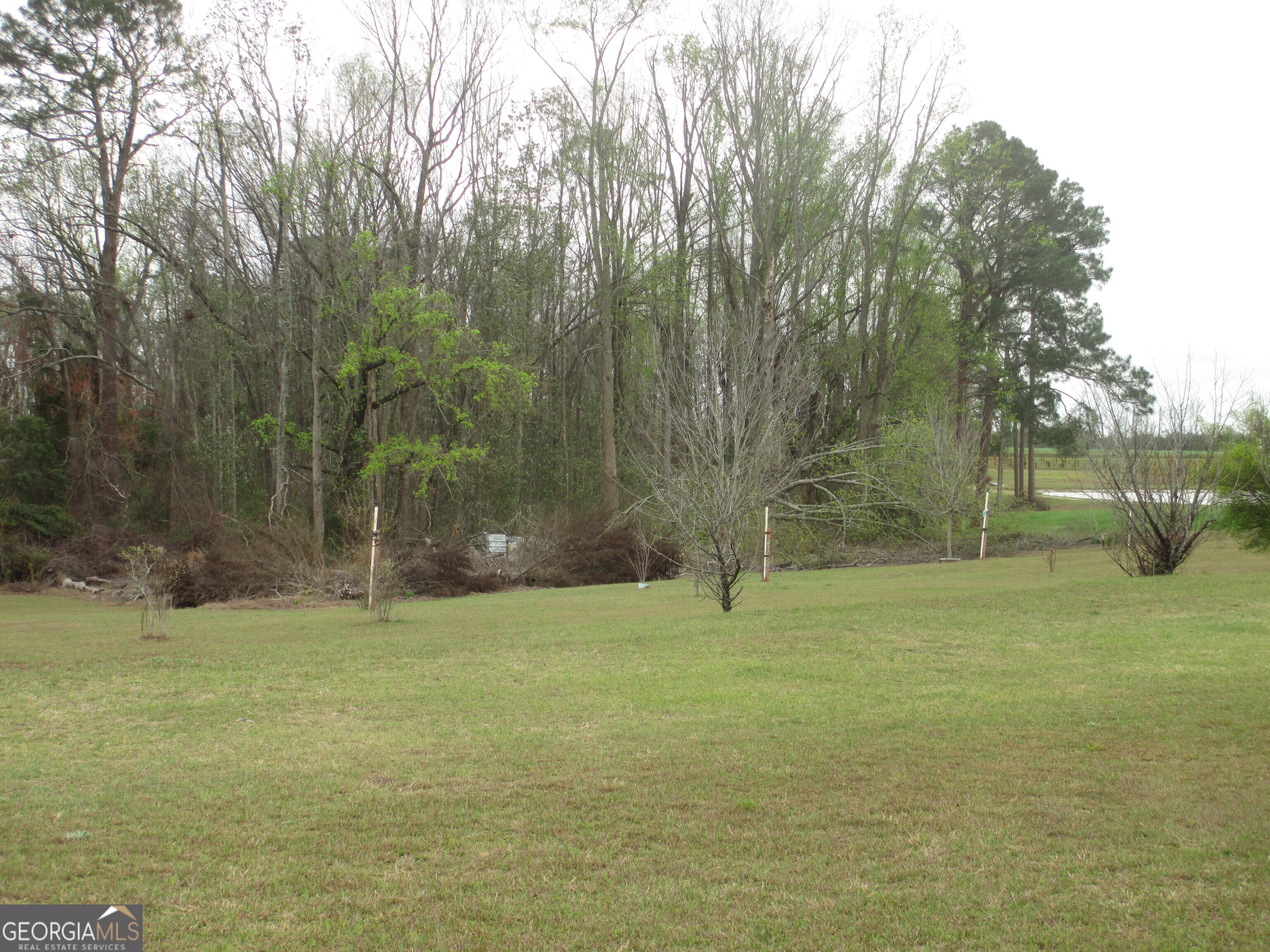40 Comer Yawn Road Hazlehurst, GA 31539 - Photo 15 of 54
