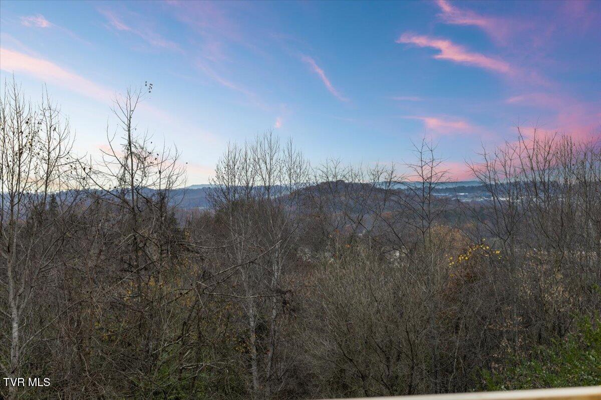 280 South Summer Sound Road Piney Flats, TN 37686 - Photo 25 of 54 07-128A0530