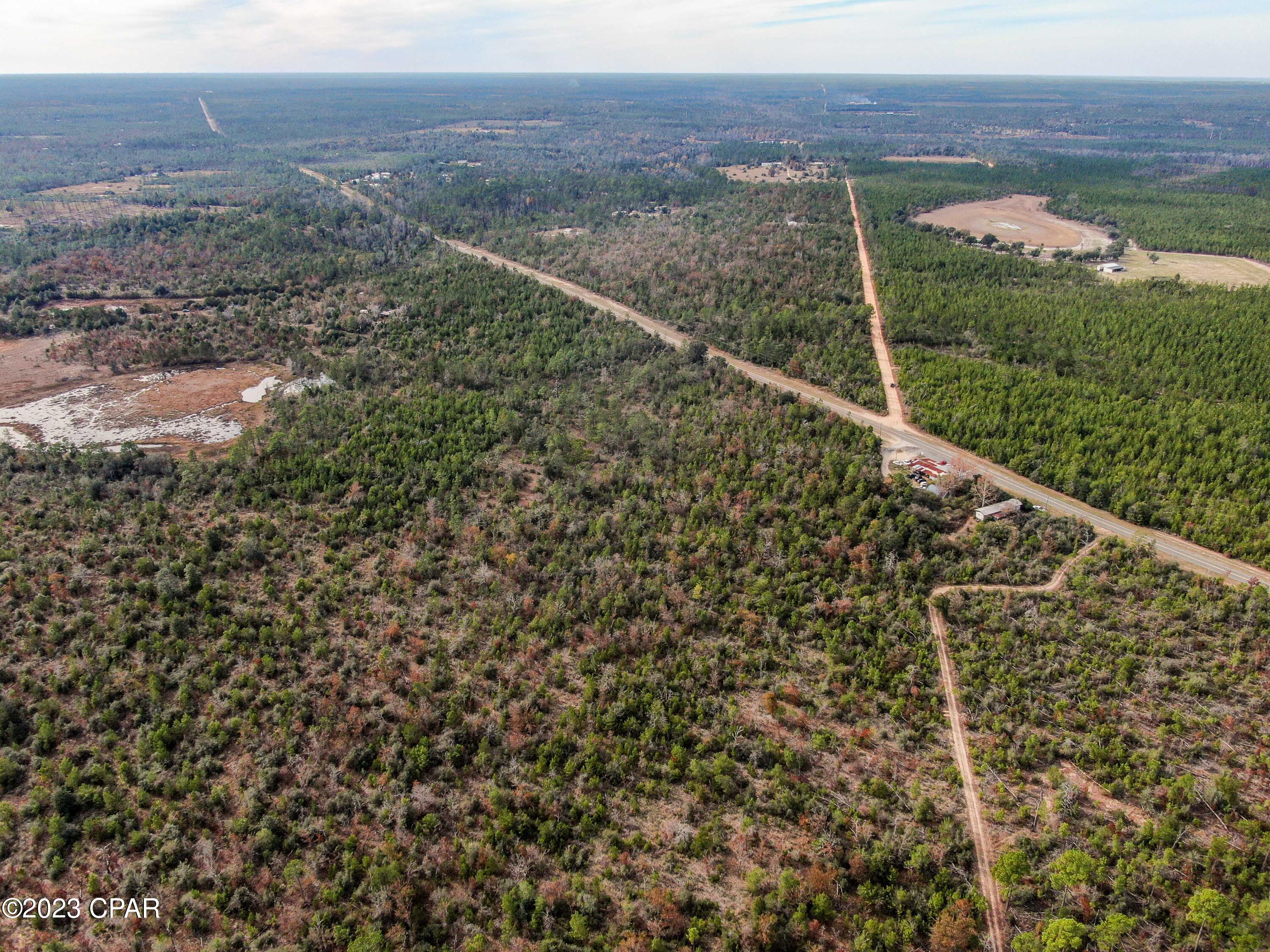 0 Co Road Marianna, FL 32448 - Photo 16 of 29 Gallery Image 16