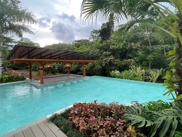 a view of a garden with a fountain