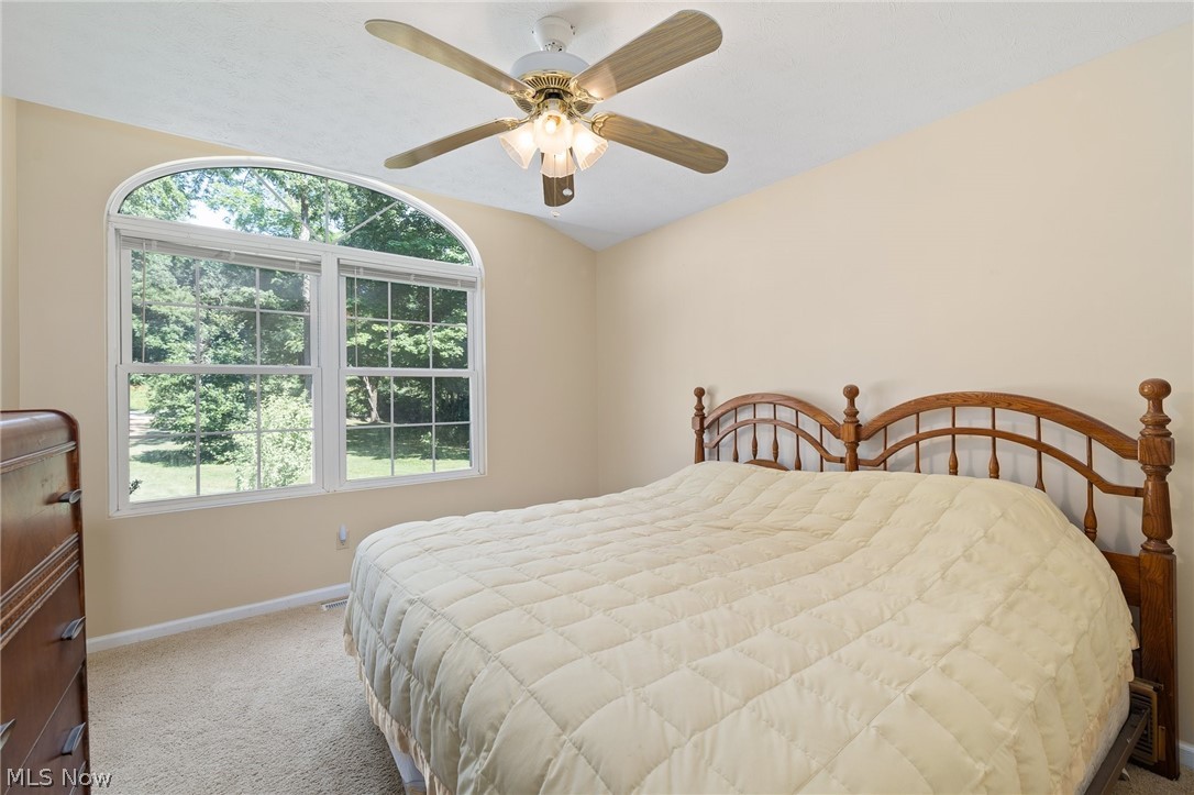 2335 South Funk Road Wooster, OH 44691 - Photo 19 of 47 Carpeted bedroom with multiple windows and ceiling fan