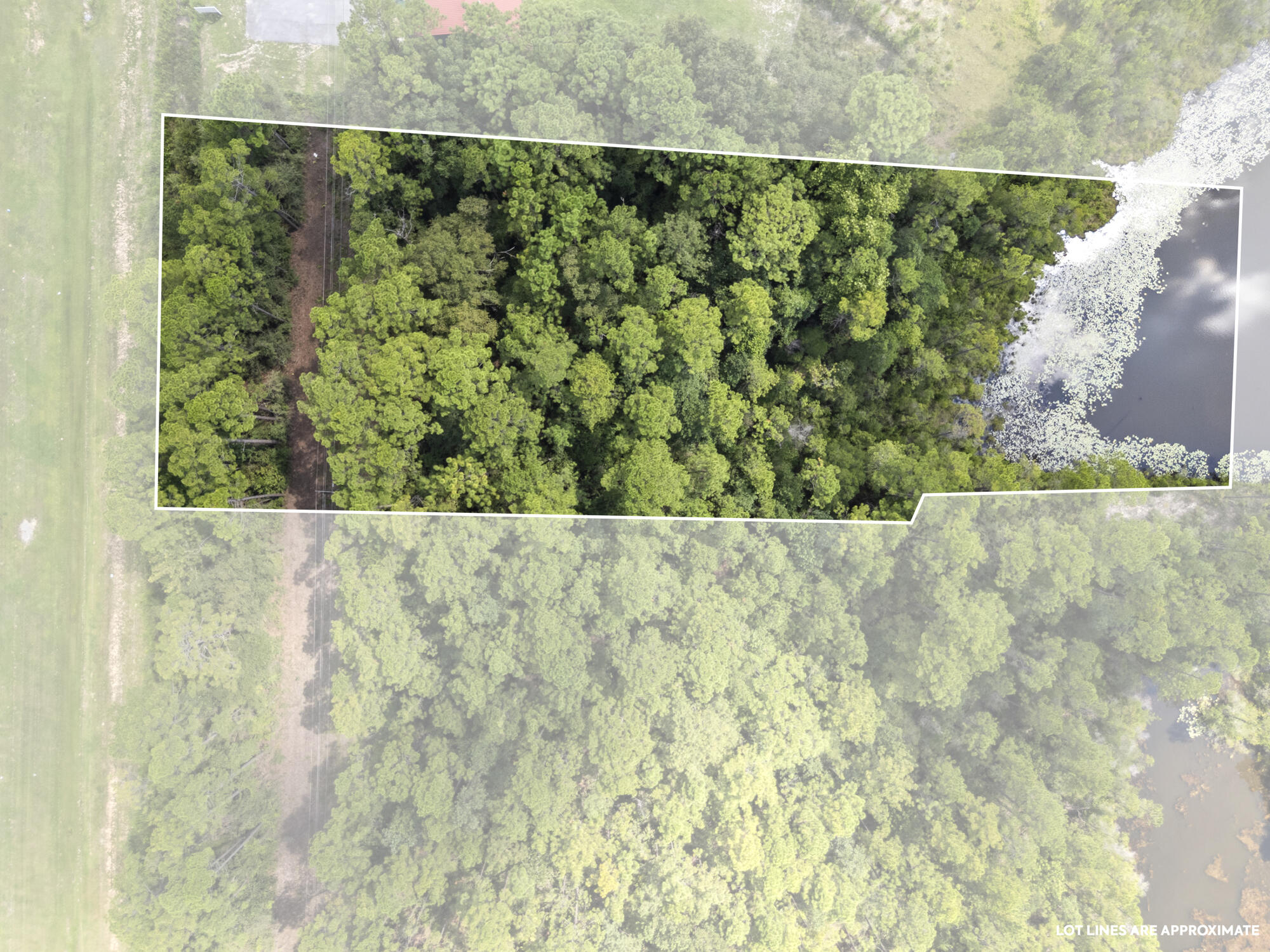 Lot 27 South Us Highway DeFuniak Springs, FL 32435 - Photo 2 of 12 a view of a garden from a window