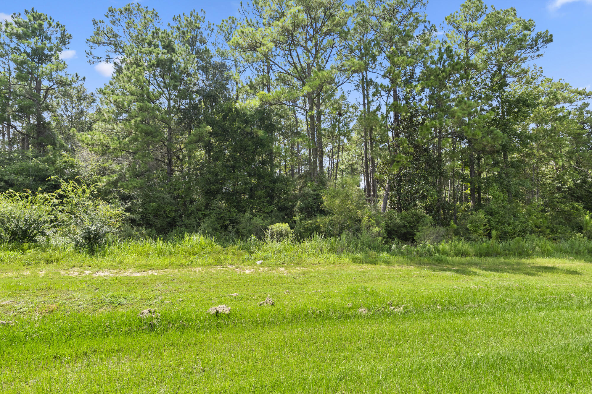 Lot 27 South Us Highway DeFuniak Springs, FL 32435 - Photo 3 of 12 a view of a green yard