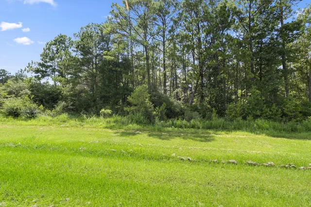 a view of a grassy field with trees