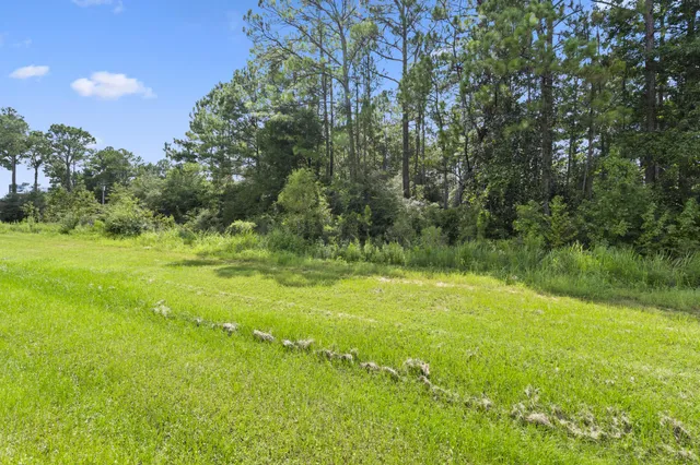 a view of a big yard with swimming pool and green space