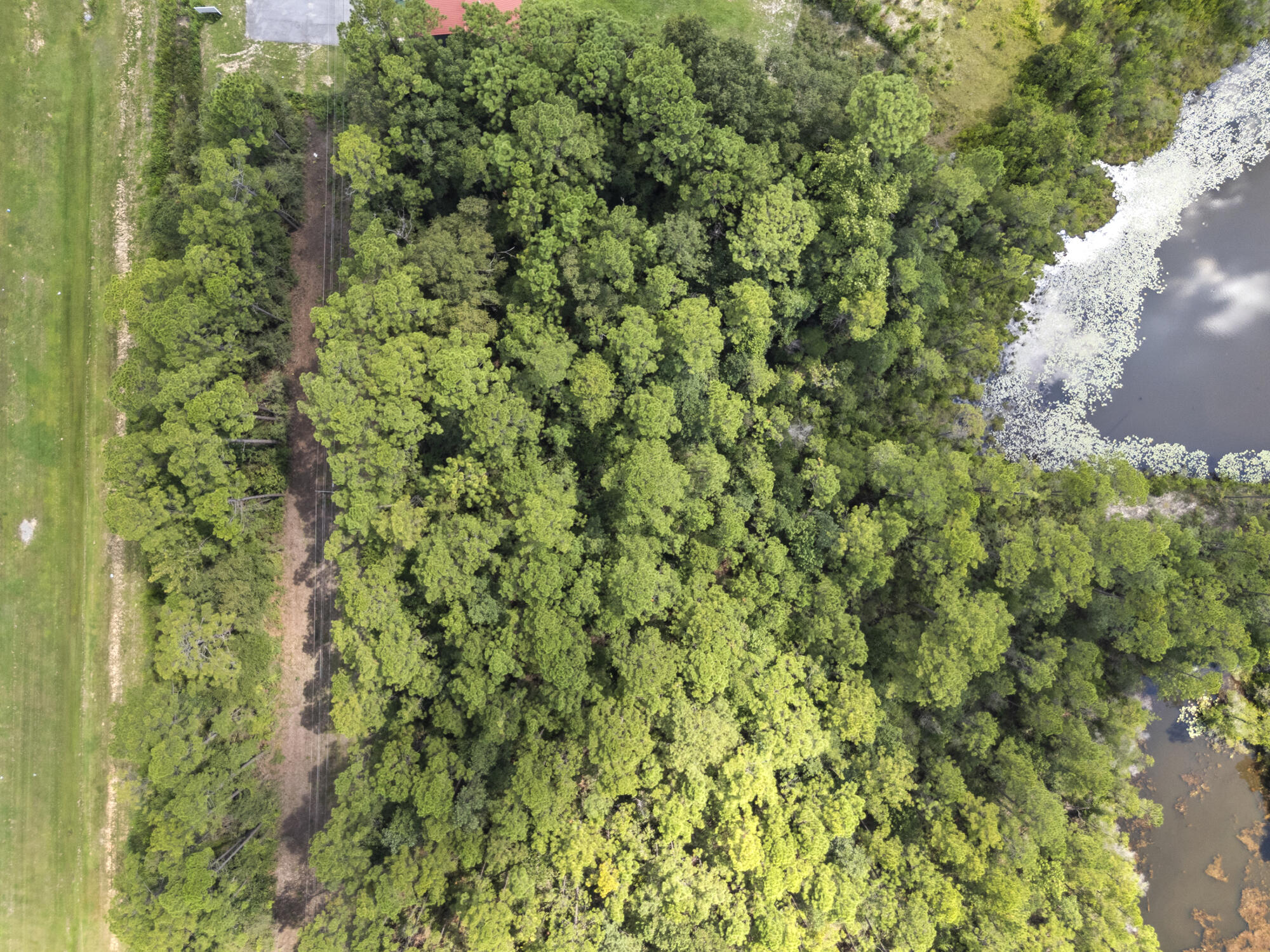 Lot 27 South Us Highway DeFuniak Springs, FL 32435 - Photo 6 of 12 a view of a yard with plants
