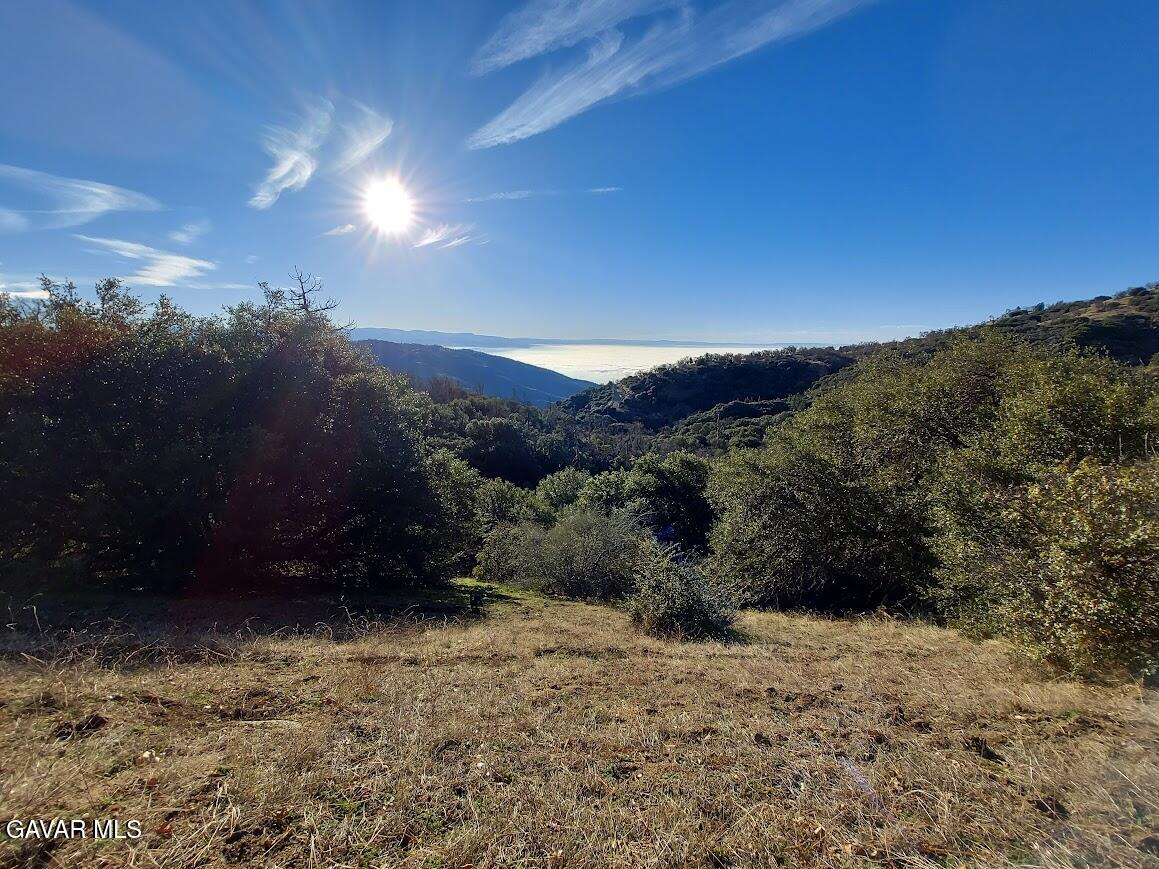 29600 Goldspike Road Tehachapi, CA 93561 - Photo 52 of 53 View5