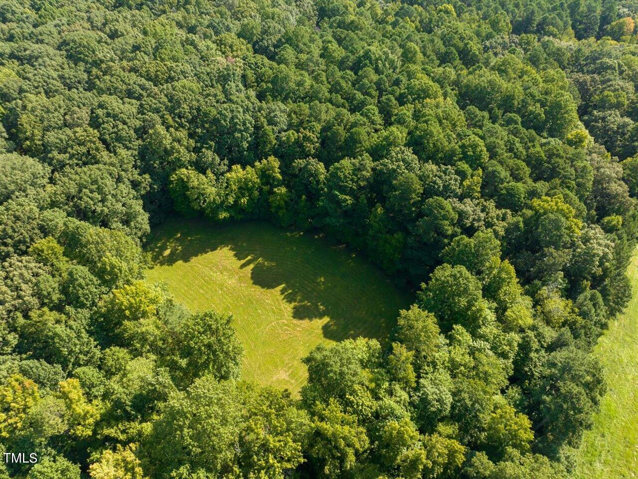 323 Wagon Trace Pittsboro, NC 27312 - Photo 5 of 11 10-010-323WagonTrace-ChathamParcel-96802