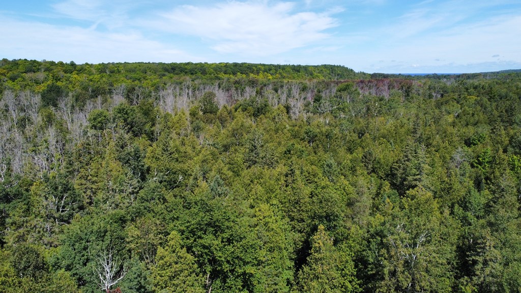 Tbd Spring Road Fish Creek, WI 54212 - Photo 4 of 5 Gallery Image 4
