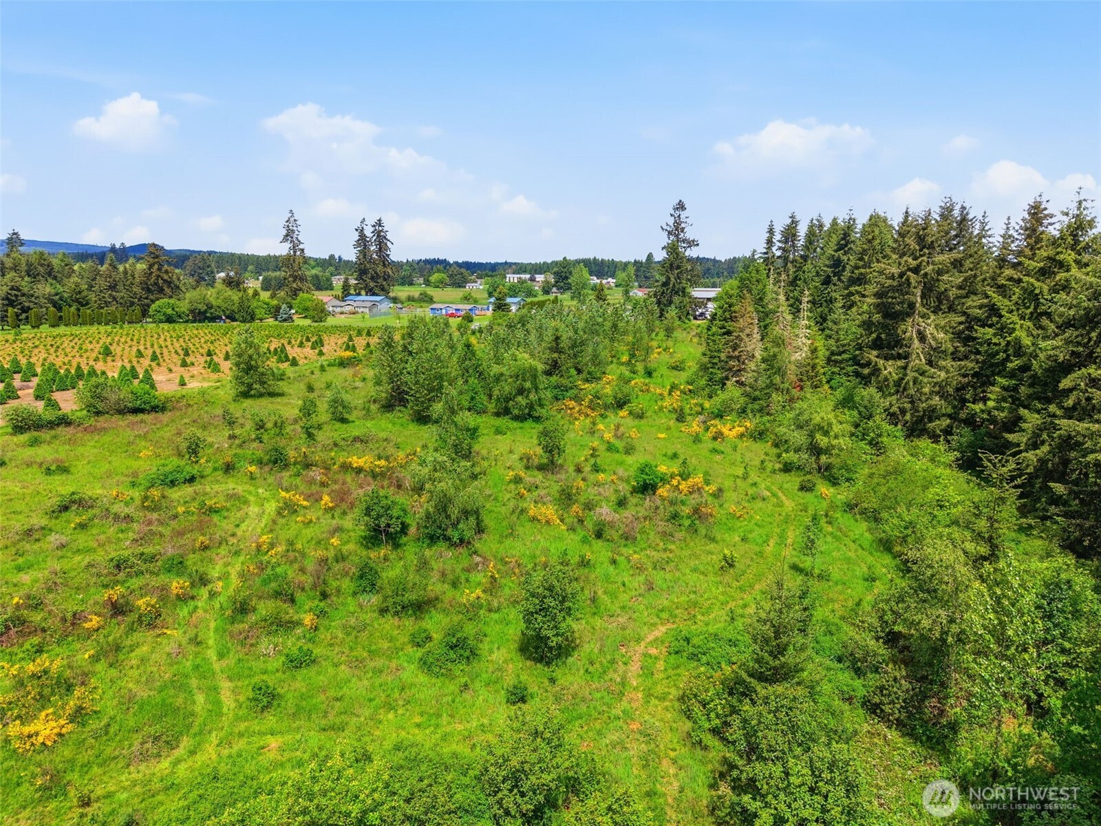 1 Shiloh Road Winlock, WA 98596 - Photo 8 of 12