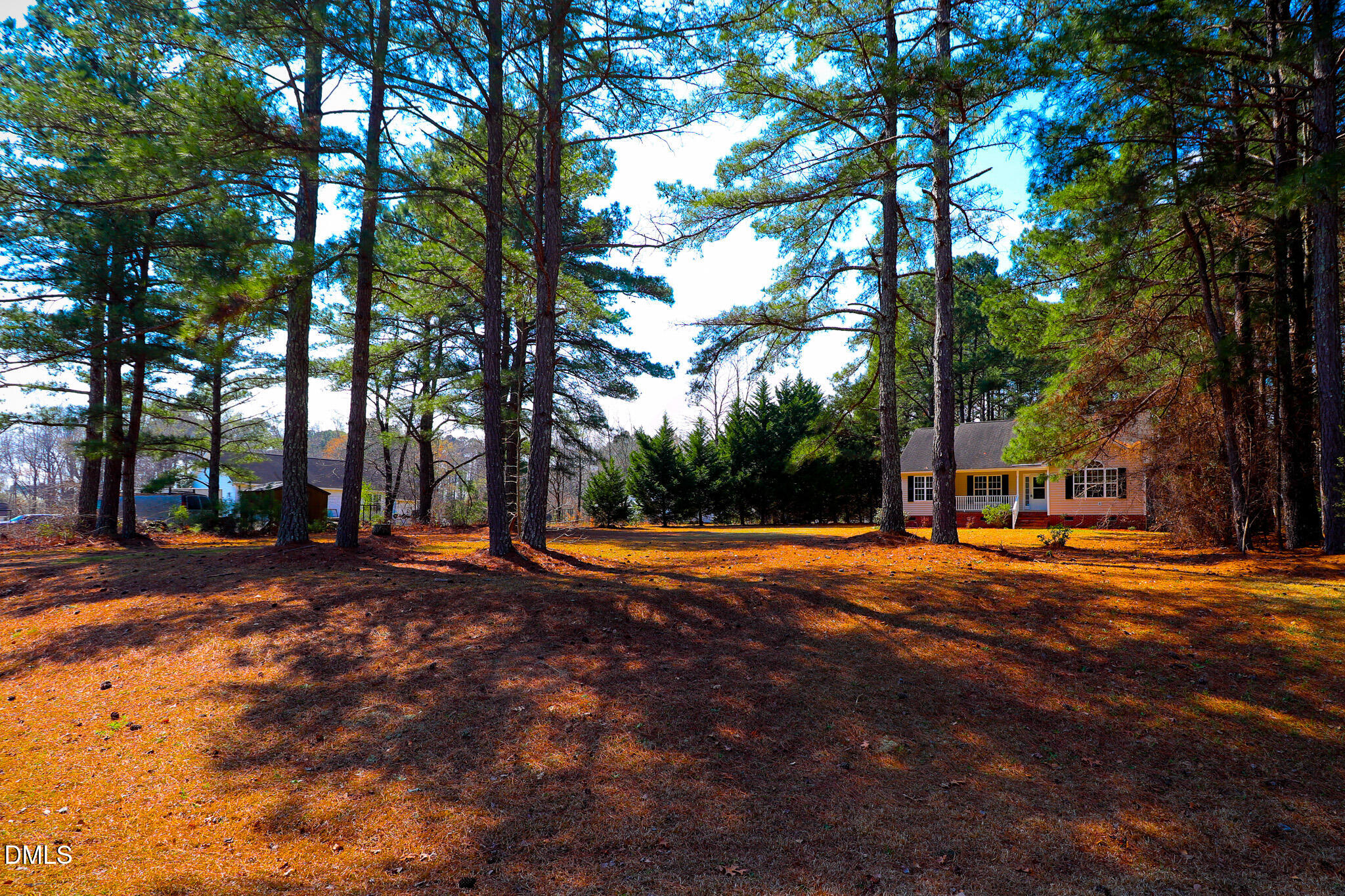 55 Edward Court Willow Spring, NC 27592 - Photo 6 of 25 a view of a playground with basketball court