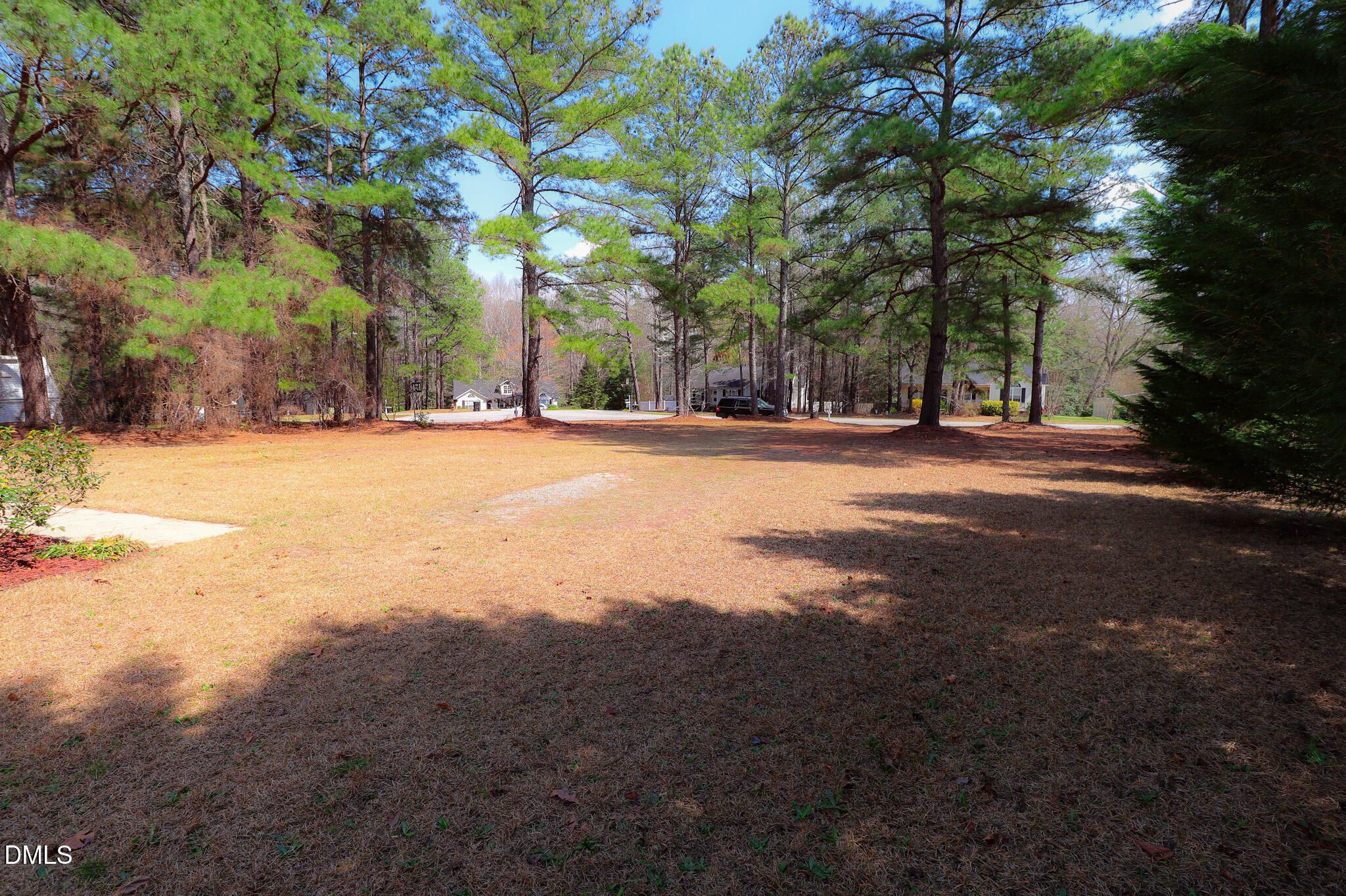 55 Edward Court Willow Spring, NC 27592 - Photo 8 of 25