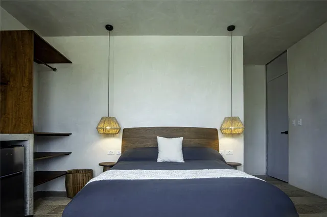 a view of a backyard with plants