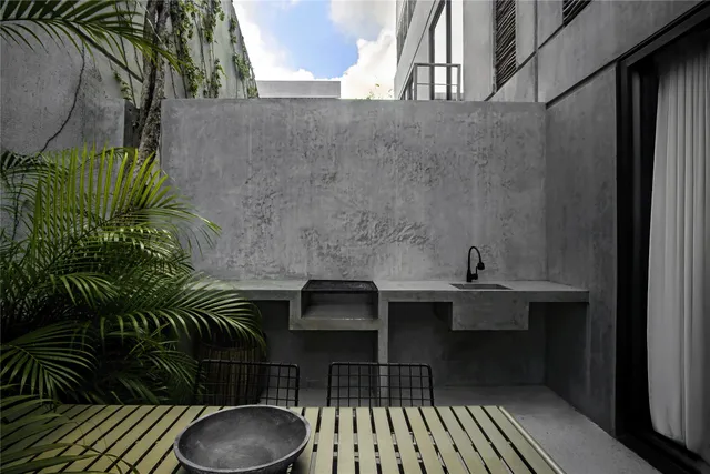 a view of a plant in a garden