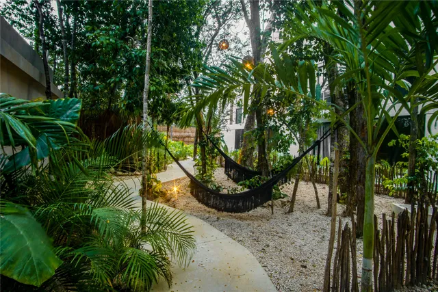 a view of a backyard