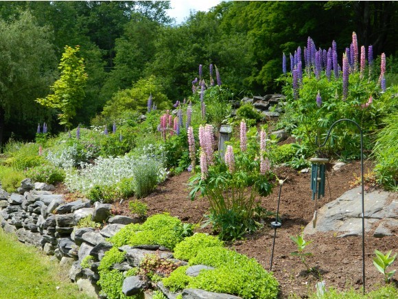 560 Daniels Farm Road Waterford, VT 05819 - Photo 20 of 36 Gallery Image 20